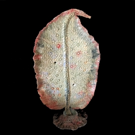 Koos Levy | Verhalende Objecten | Reuzenwier