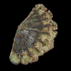 Koos Levy | Kimono | Waaier